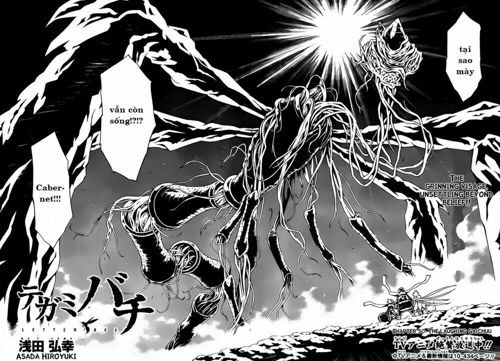 Ong Đưa Thư: Chapter 50