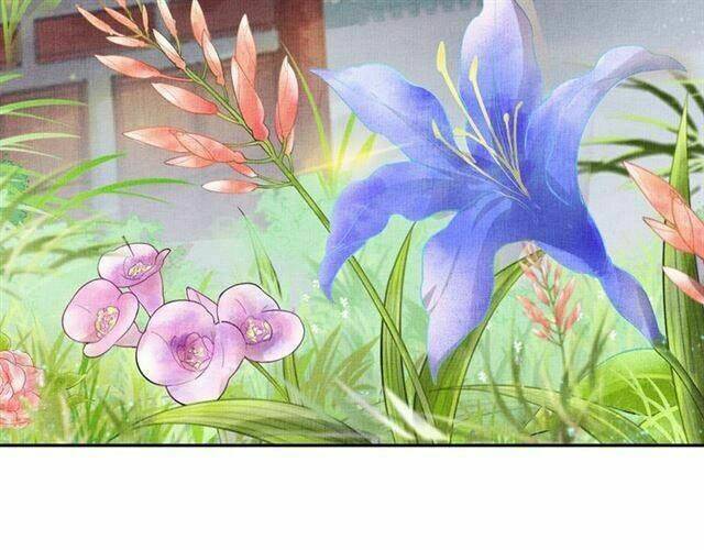 Thịnh Sủng Y Phi Chi Dao Quan Truyện: Chapter 62