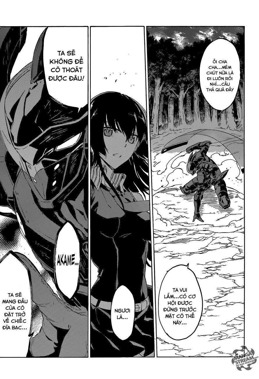 Akame Ga Kiru: Chapter 61