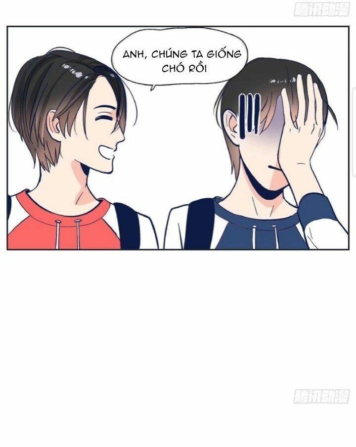 Song Bào Thai Theo Đuổi Nữ Thần: Chapter 2