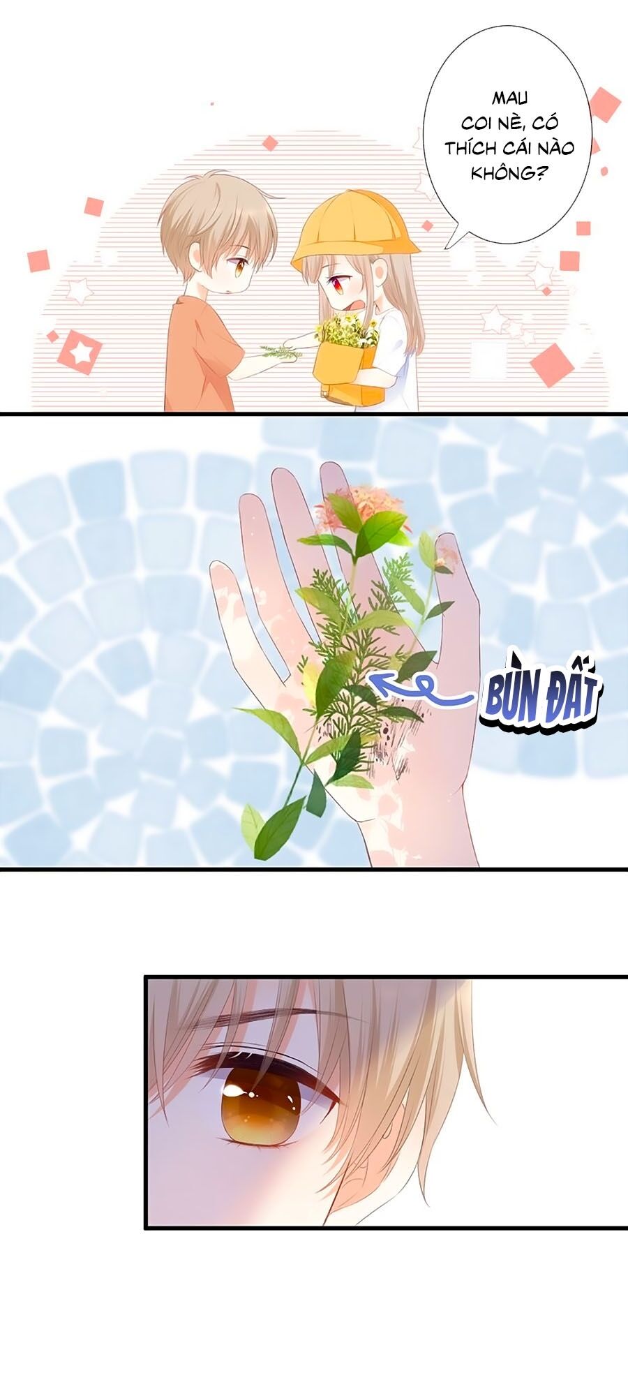 Hoa Chưa Nở Rộ: Chapter 39.6