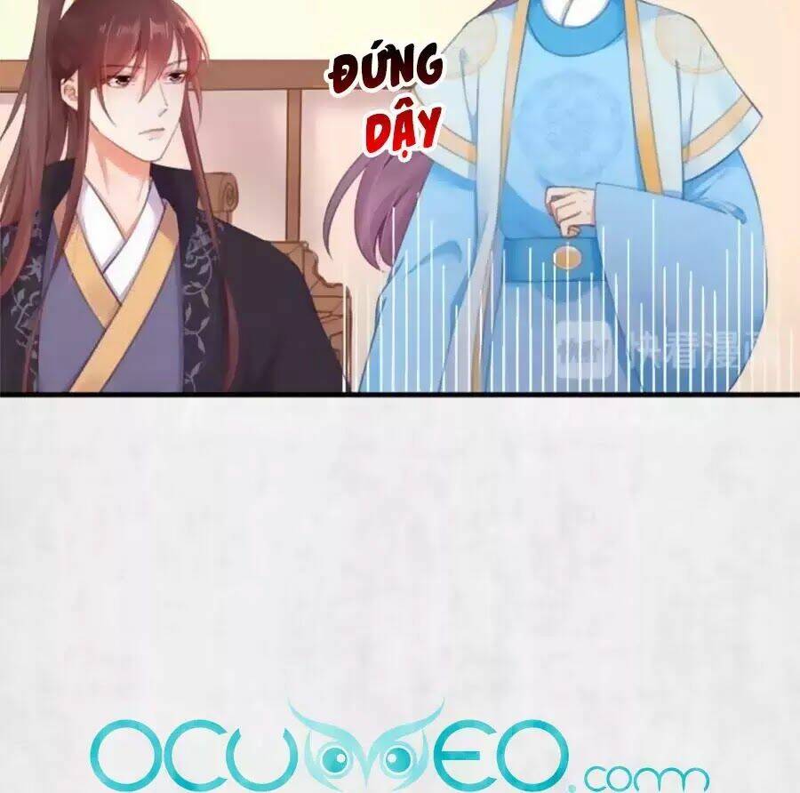 Hoạn Phi Hoàn Triều: Chapter 37