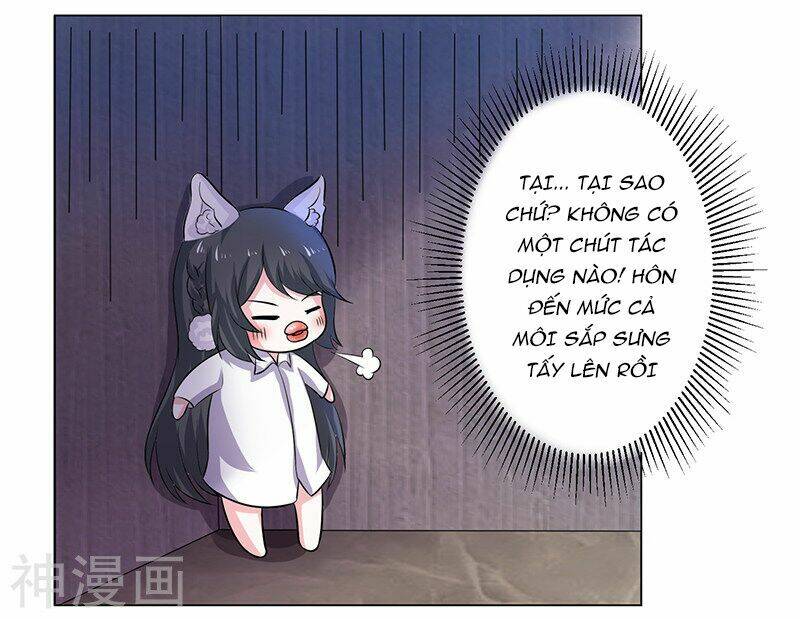 Quy Luật Năm Bản Mệnh Của Hồ Ly: Chapter 11