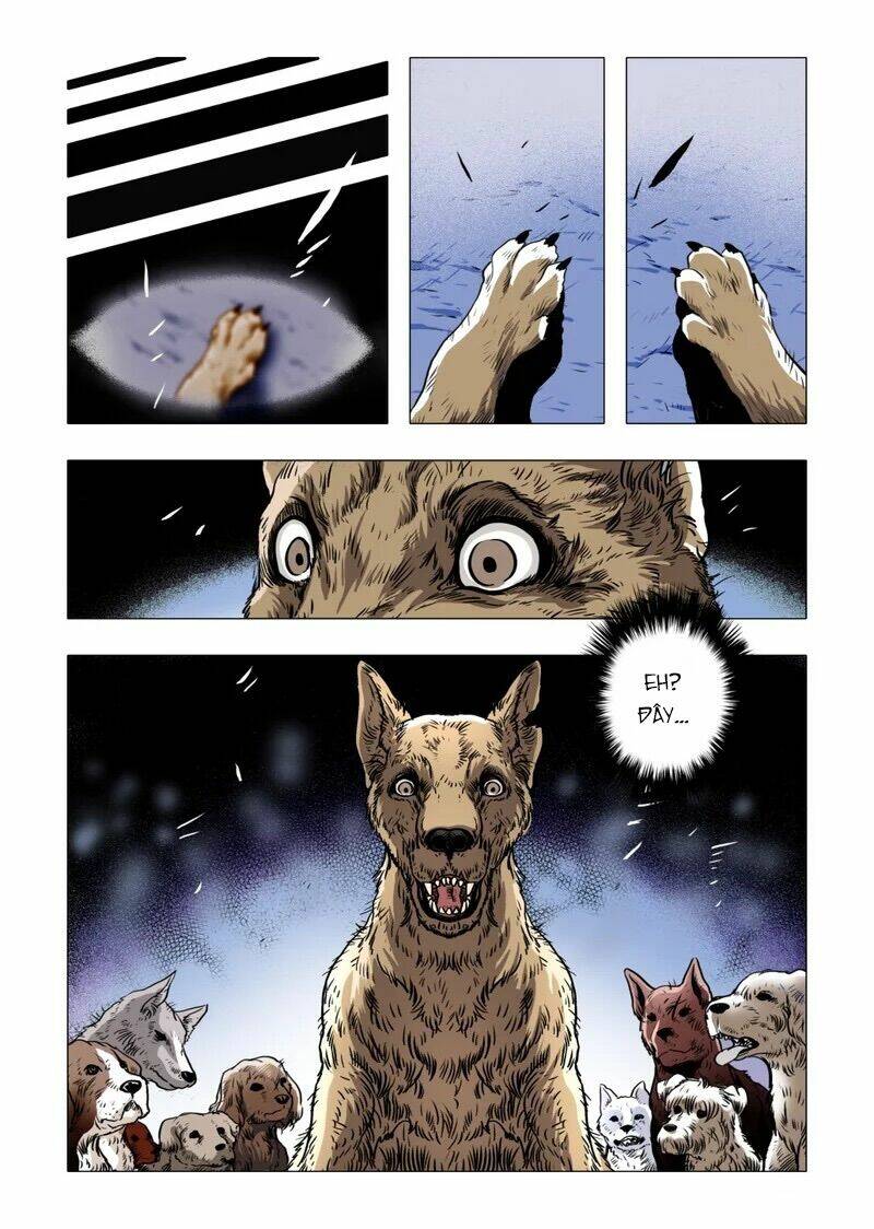 Truyện Đọc Lúc 0H: Chapter 38