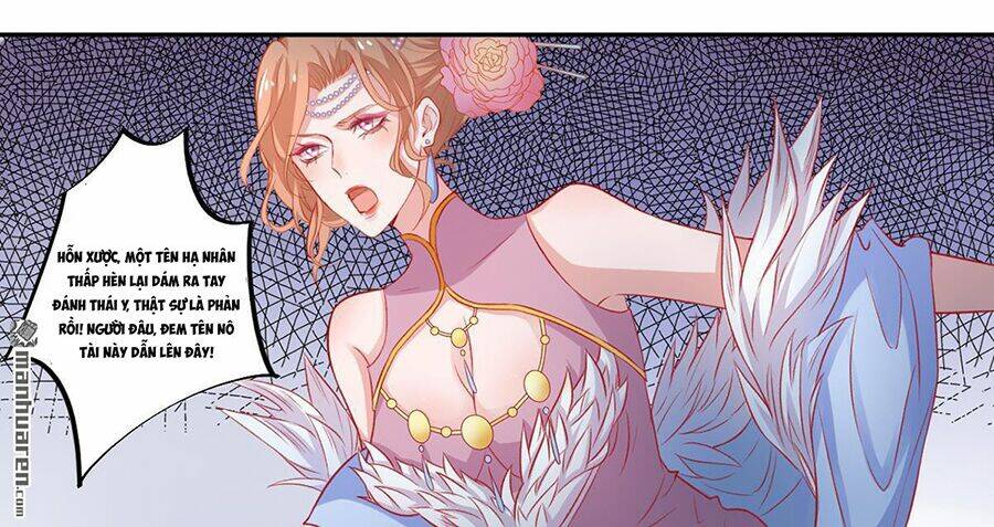 Hoàng Phi 9000 Tuổi: Chapter 11