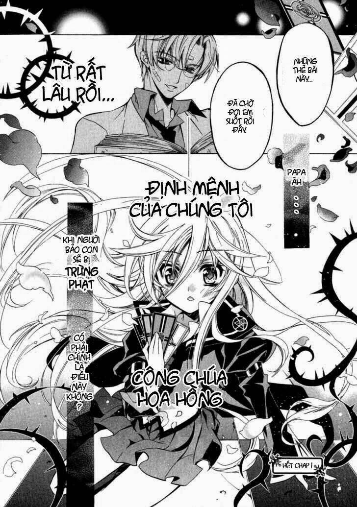 Nụ Hôn Của Công Chúa Tường Vi: Chapter 1