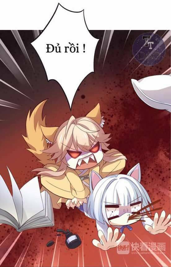 Dưới Móng Vuốt Mèo: Chapter 1