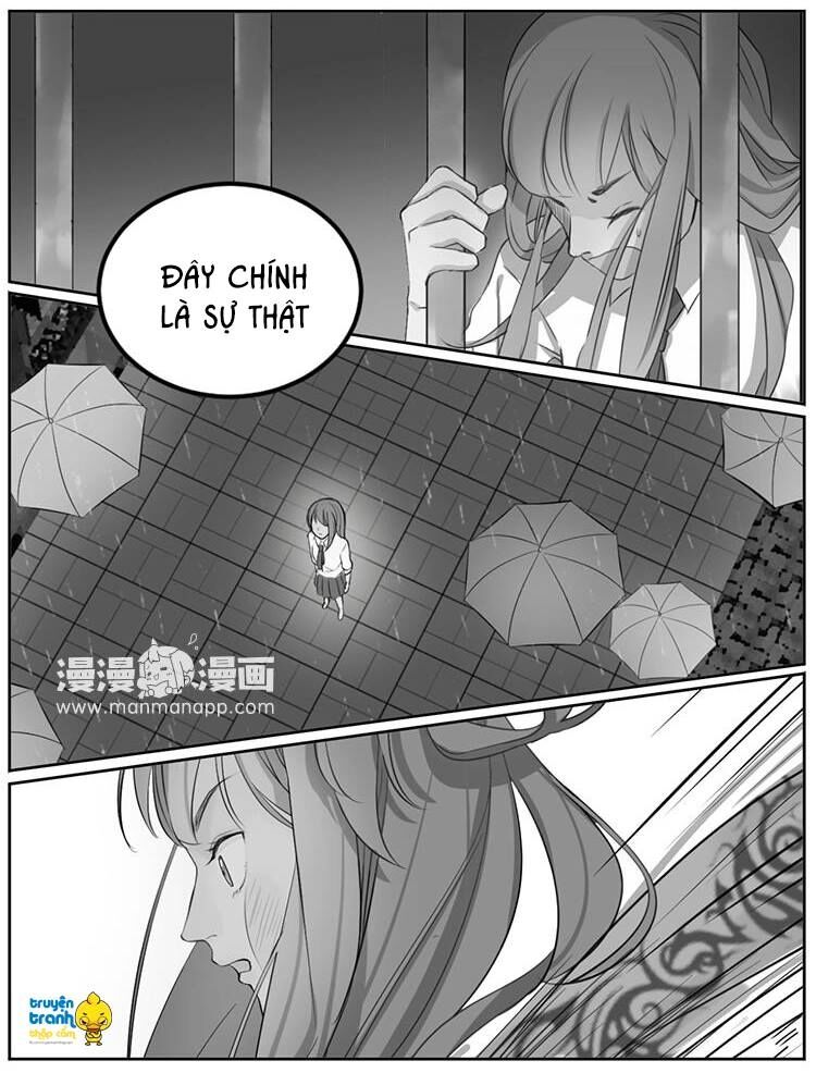 Cứu mạng ! Loài mèo thống trị thế giới rồi !: Chapter 7