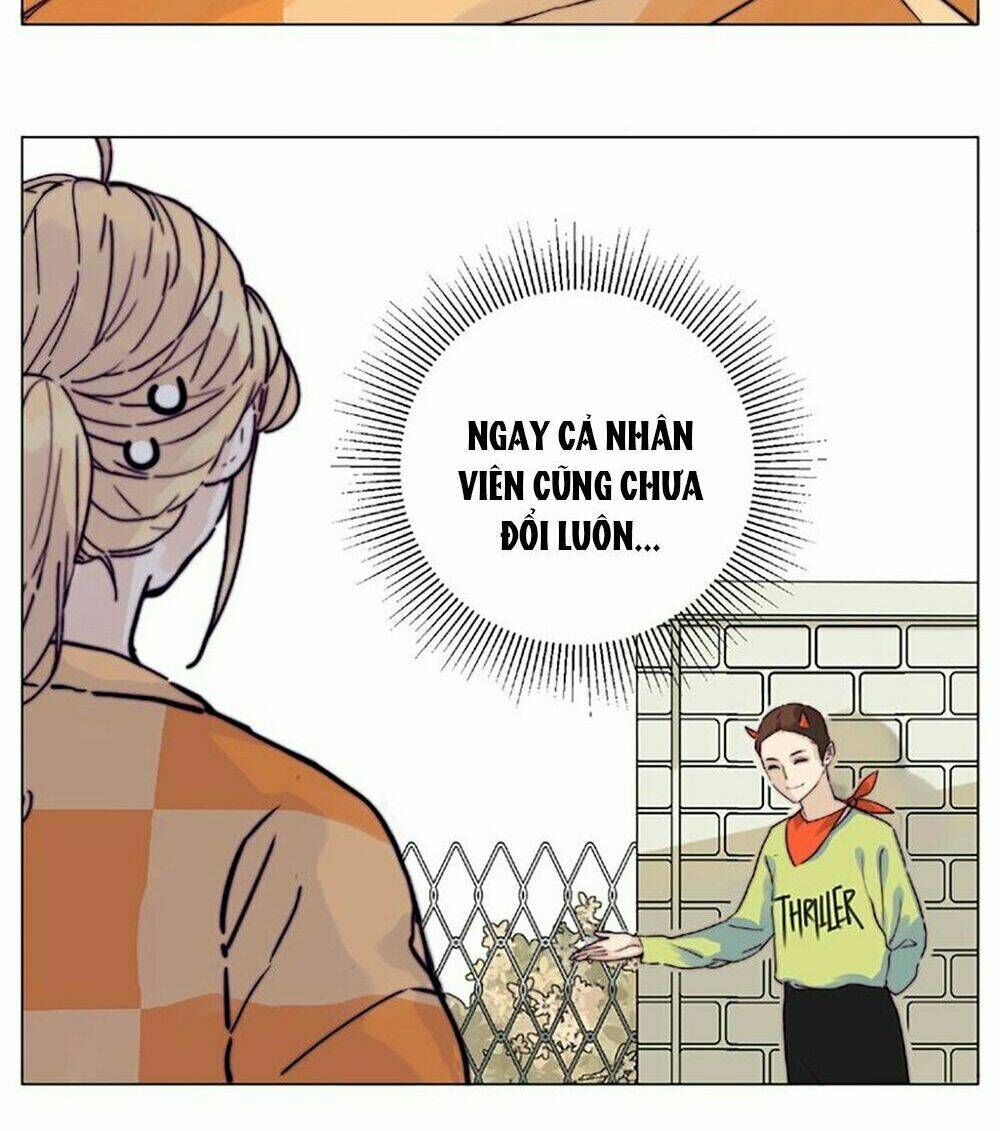 Tình Yêu Chớp Nhoáng: Chapter 90