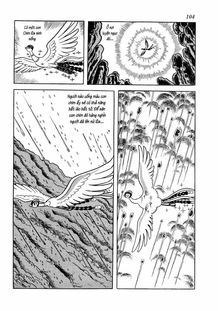 Chim Lửa: Chapter 47