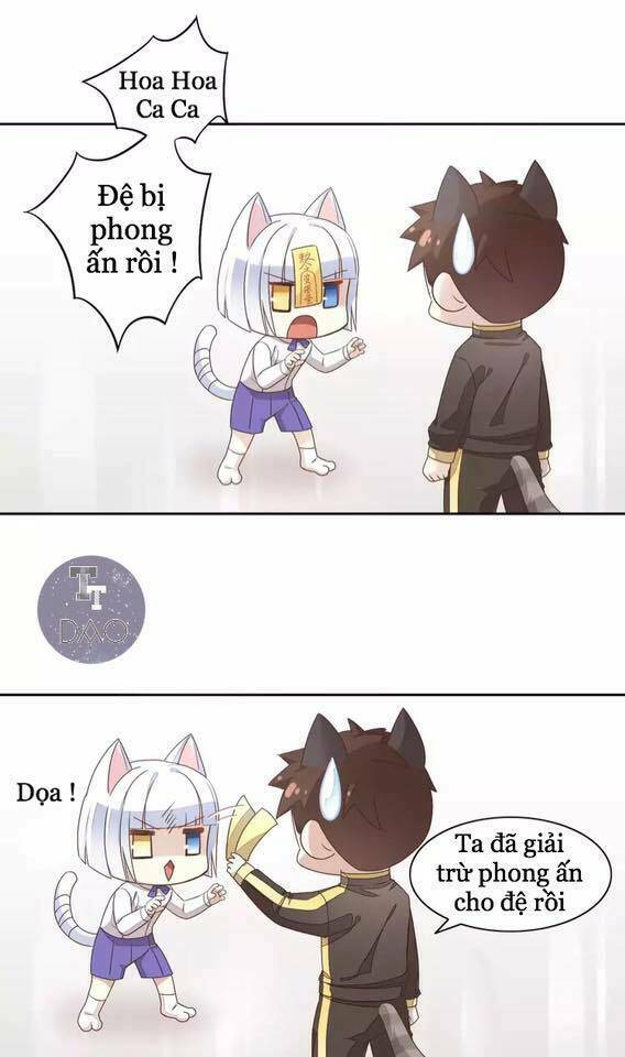 Dưới Móng Vuốt Mèo: Chapter 19