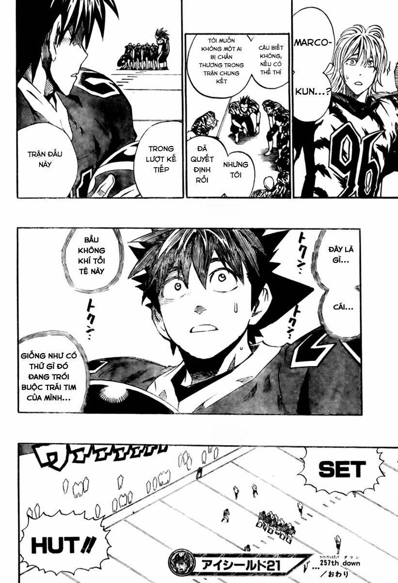 Lá Chắn Mắt: Chapter 257