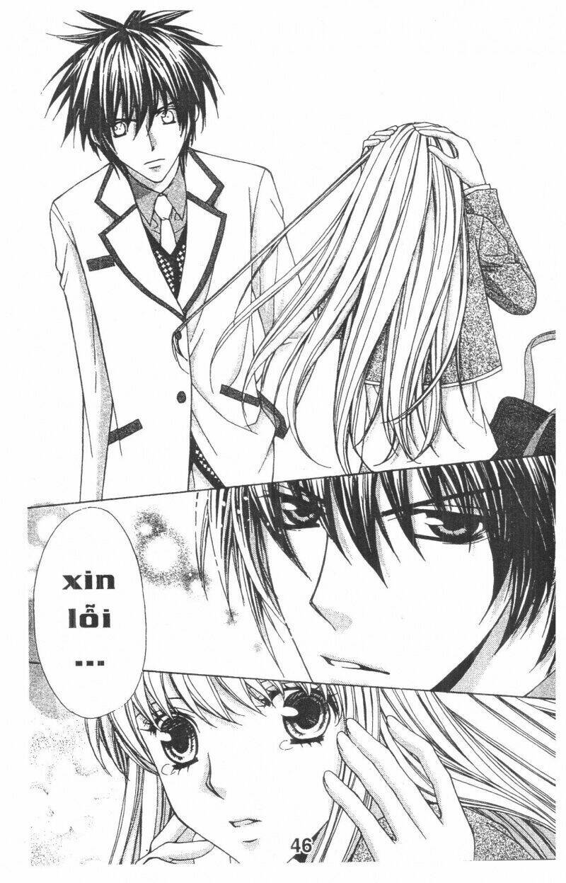 Trái Tim Kim Cương: Chapter 1