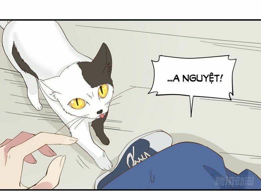 Nguyệt Lão Không Cho Phép Tôi Yêu Đương: Chapter 1.2