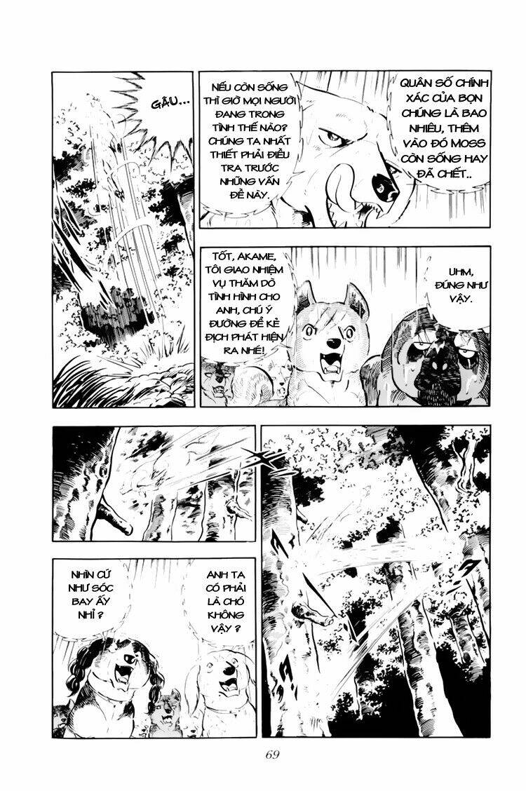 Chú Chó Có Nghĩa - Ginga Nagareboshi Gin: Chapter 32.1