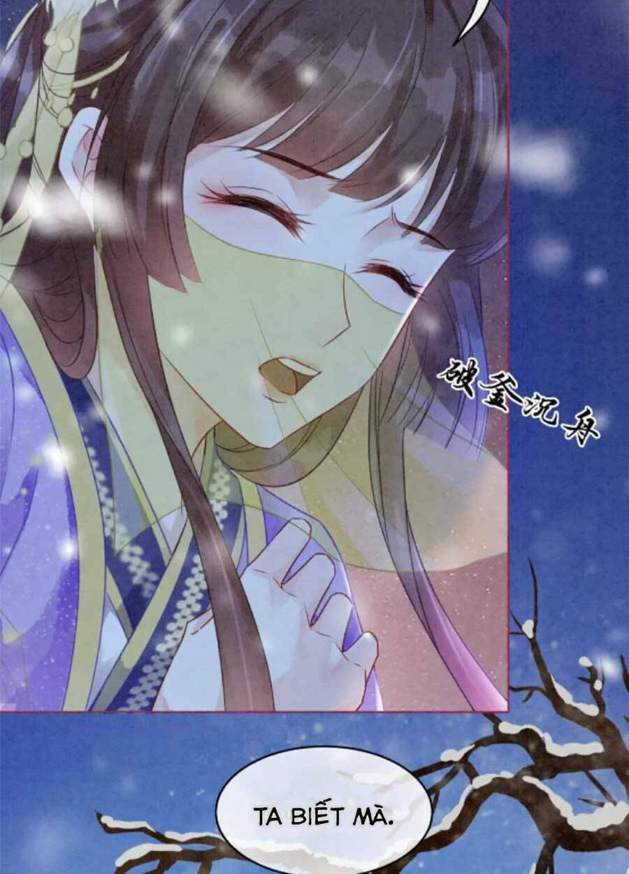 Xung Hỉ Vương Phi: Chapter 81