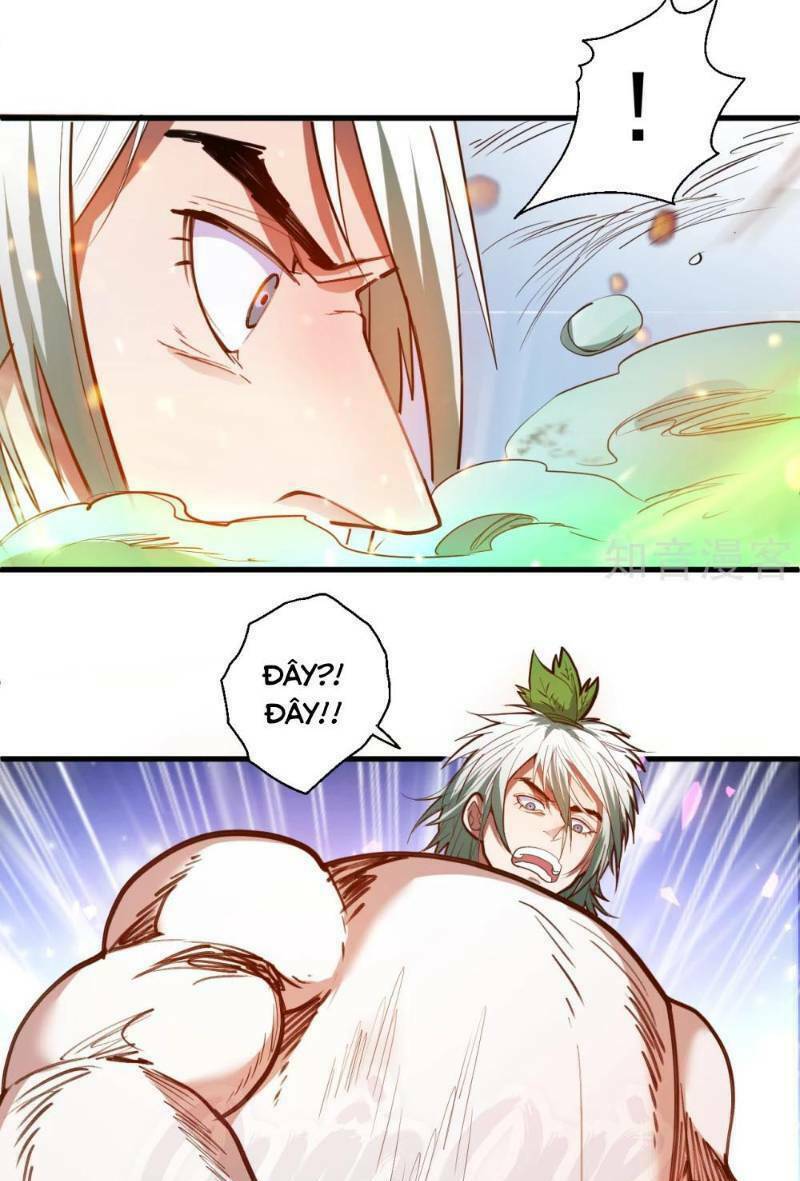 Tối Cường Đại Biểu Hoàng Kim Thận: Chapter 67