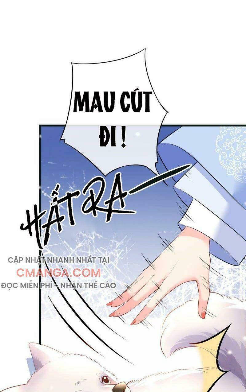 Quận Chúa Vững Vàng, Thiết Lập Nhân Vật Không Thể Vỡ: Chapter 55