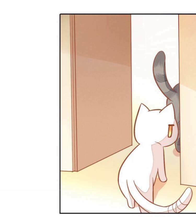 Dưới Móng Vuốt Mèo: Chapter 4