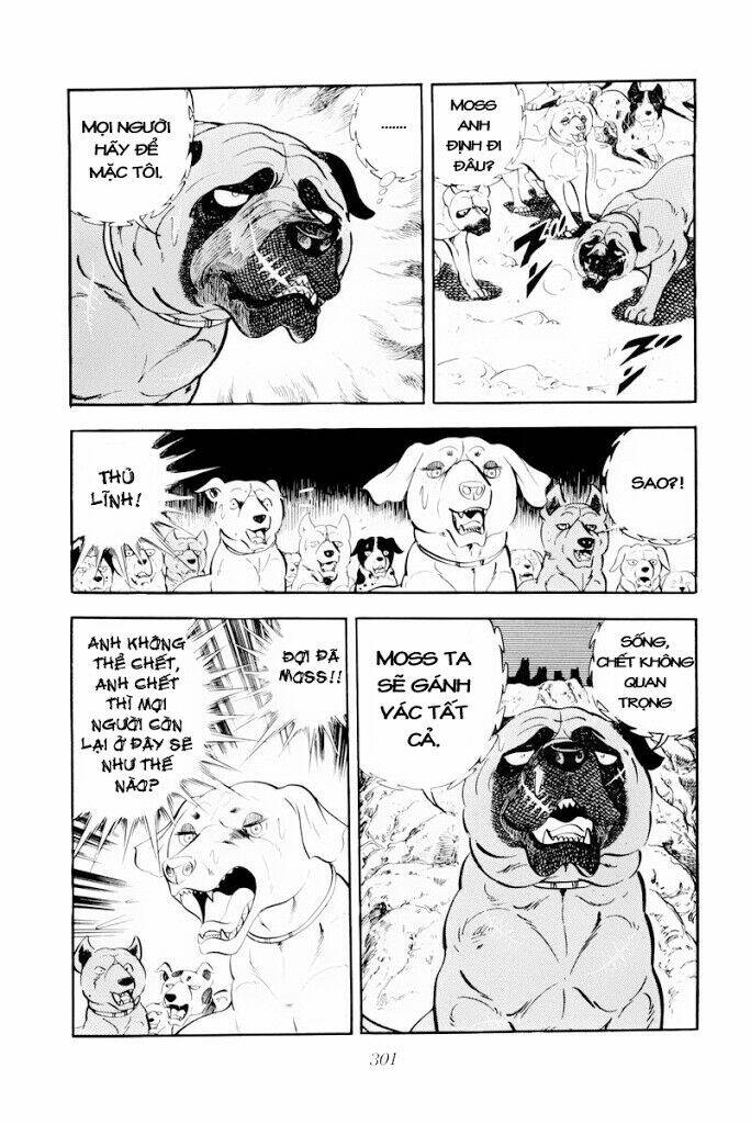 Chú Chó Có Nghĩa - Ginga Nagareboshi Gin: Chapter 30.2