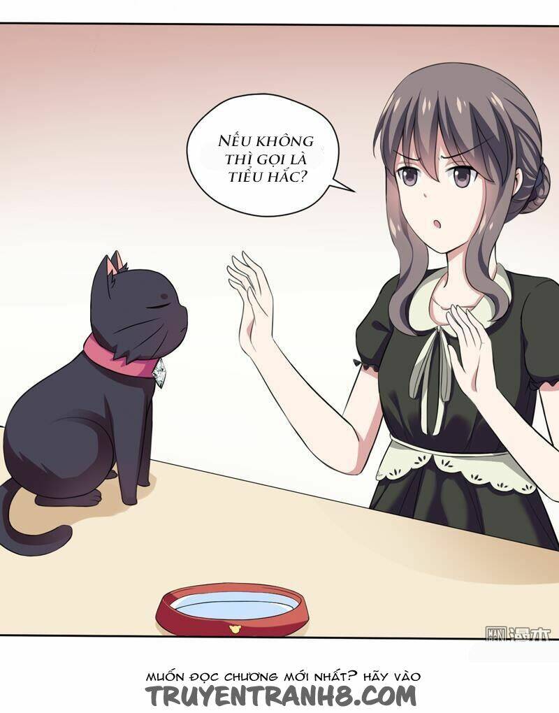 Miêu Vương Tại Thượng: Chapter 2