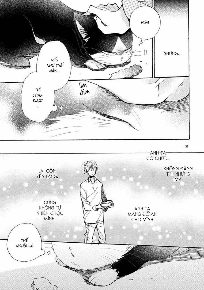 Doukyonin Wa Hiza, Tokidoki, Atama No Ue: Chapter 3.5
