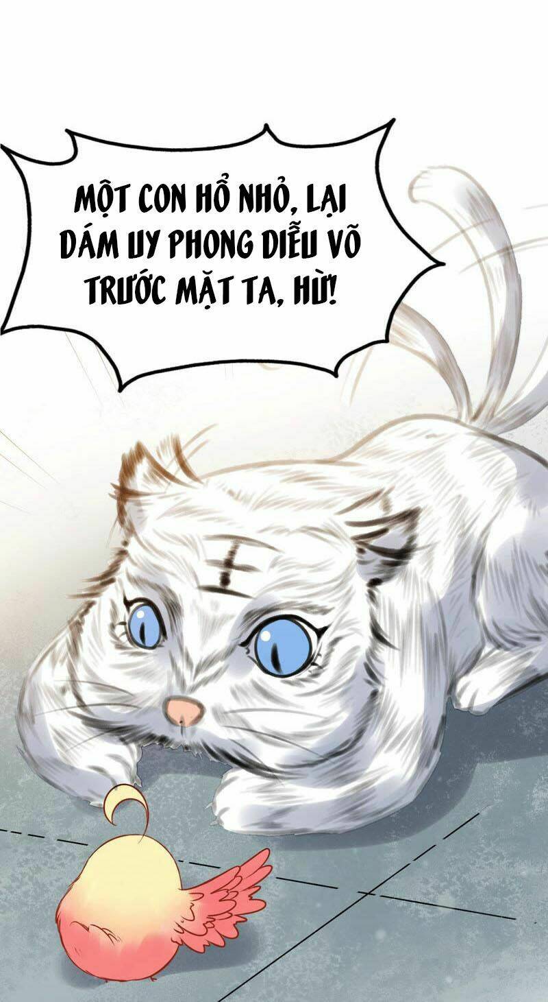 Thịnh Sủng Kiều Nữ Trở Về Triều Ca: Chapter 33