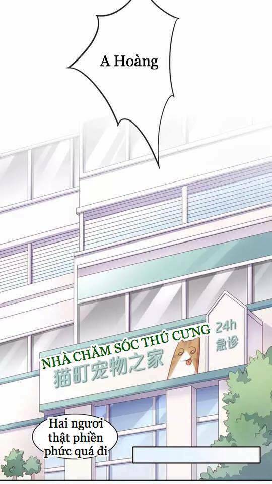 Dưới Móng Vuốt Mèo: Chapter 15