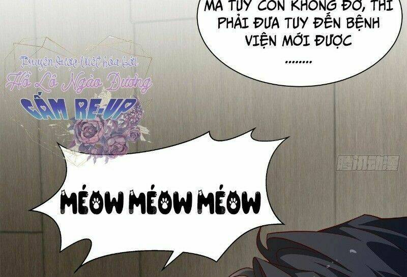 Ảnh Đế Yêu Hồ: Chapter 41