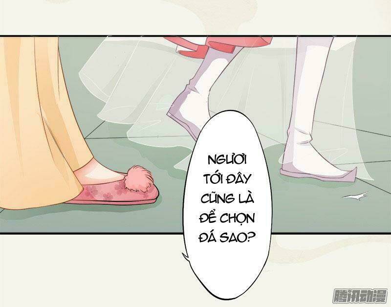 Tuyệt Thế Luyện Đan Sư: Chapter 6