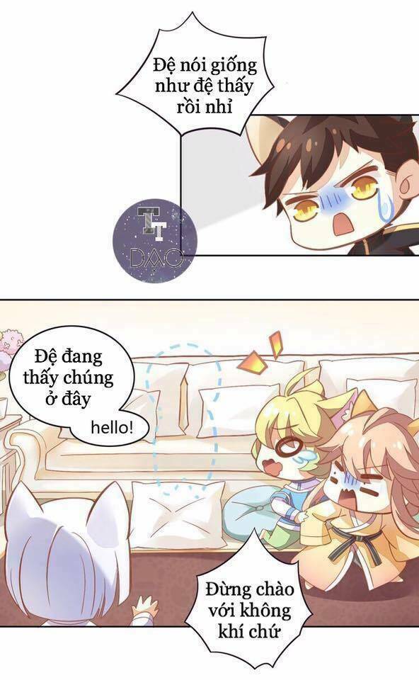 Dưới Móng Vuốt Mèo: Chapter 4