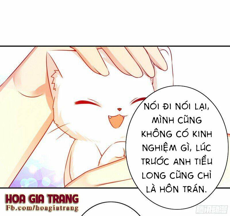 Phục Thù Thiếu Gia Tiểu Điềm Thê: Chapter 19