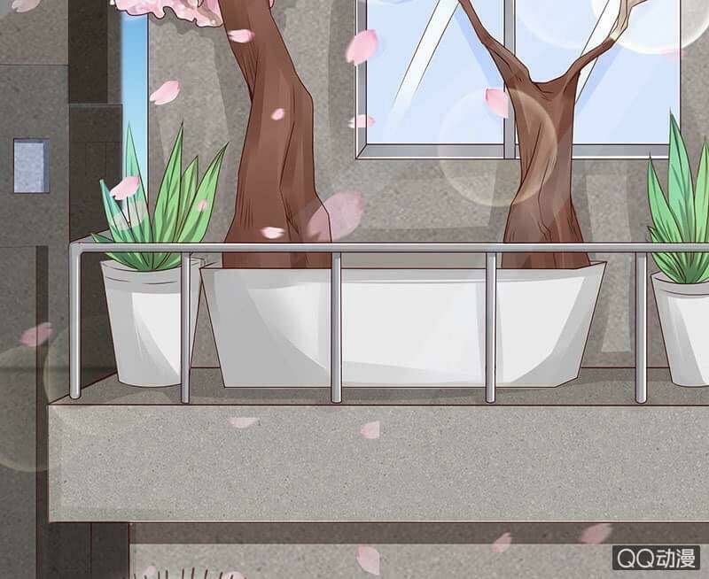 Băng Sơn Học Trưởng Không Được Chọc: Chapter 53.1