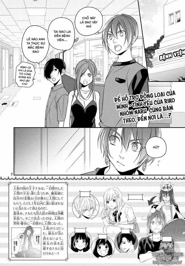 Mermaid Boys: Chapter 13