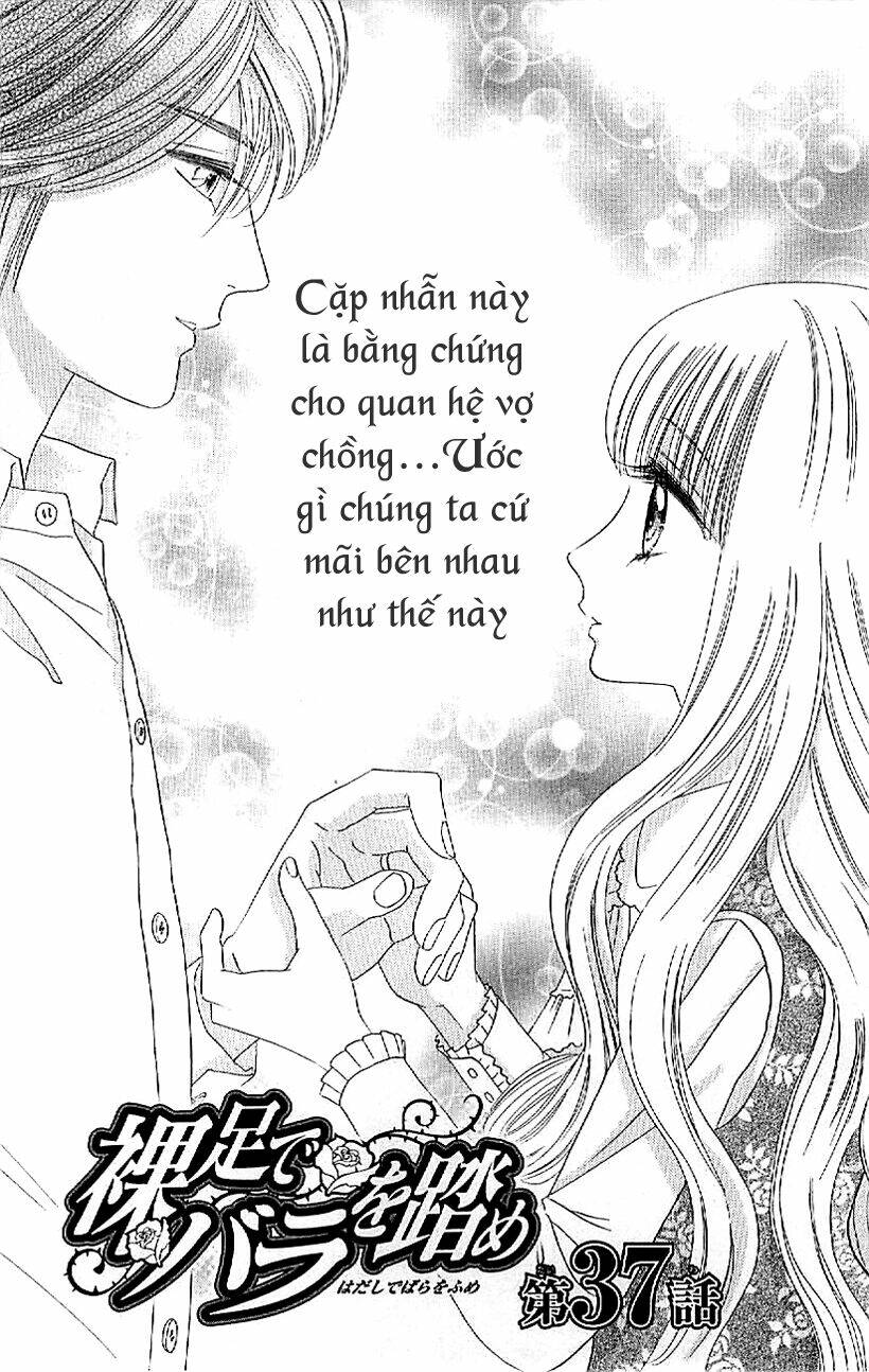 Hoa Hồng Đỏ: Chapter 37