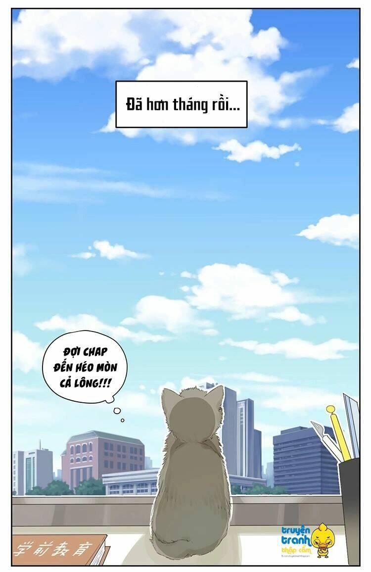 Cứu Mạng! Loài Mèo Thống Trị Thế Giới Rồi!: Chapter 24