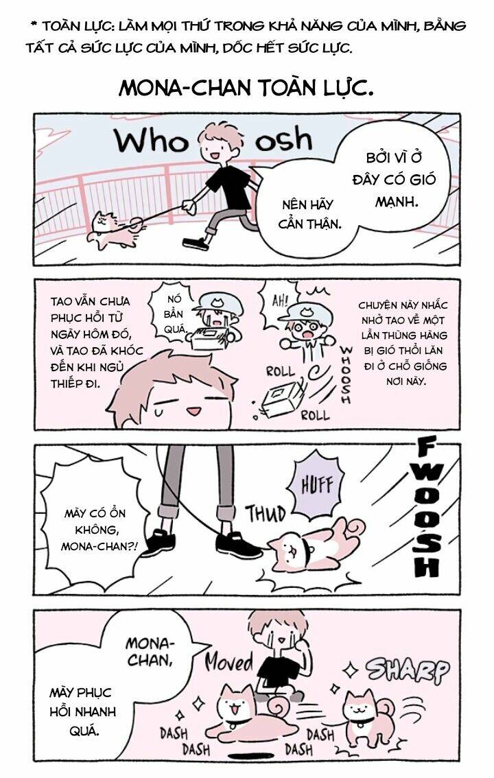 Chú Mèo Kỳ Diệu Kyuu-Chan: Chapter 677