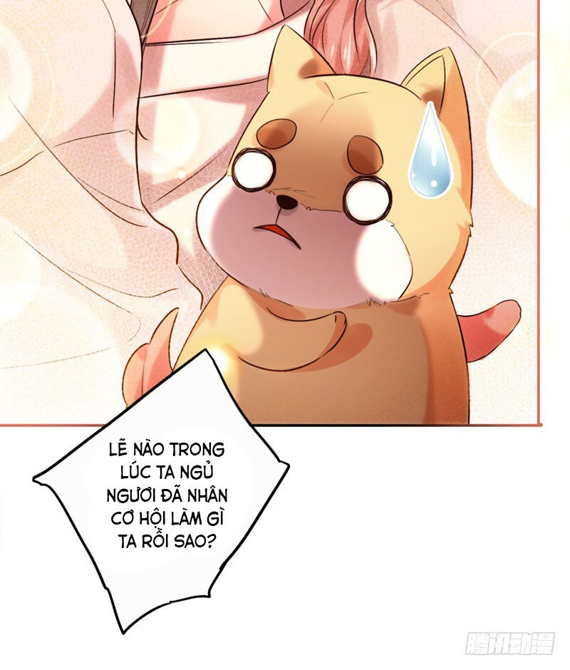 Lụ Đạn, Hôm Nay Lại Cũng Không Thể Biến Thành Người Được: Chapter 2