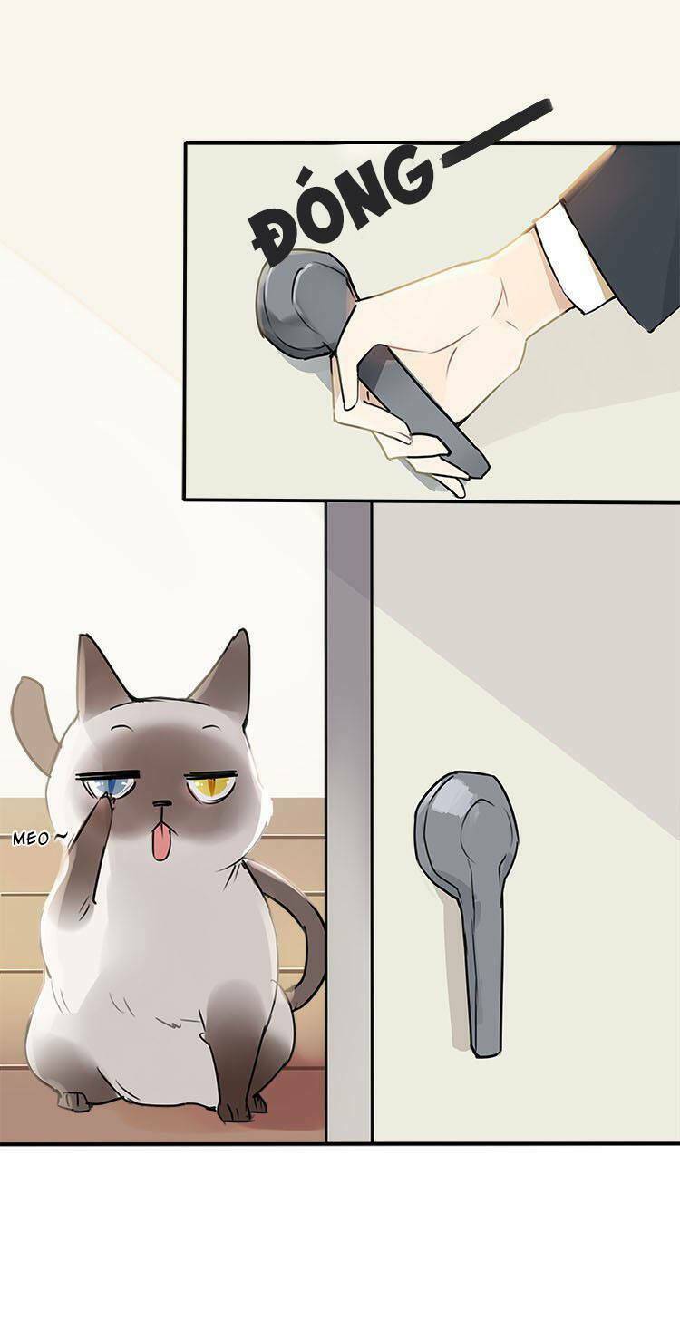 Nghe Thấy Thời Gian Rung Động: Chapter 2