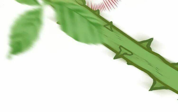 Thuần Trắng Vận Mệnh Chi Luân: Chapter 4