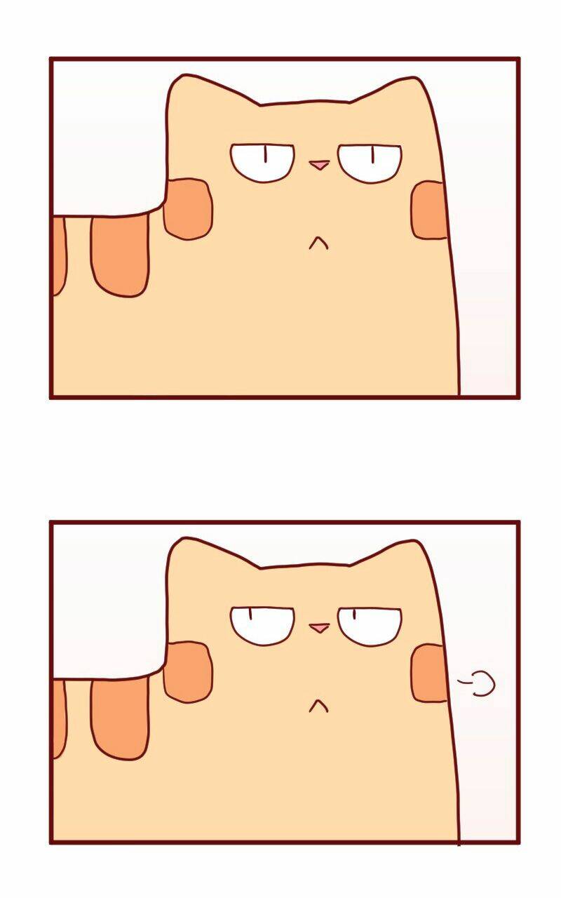 Saphie: Chú mèo một mắt: Chapter 10