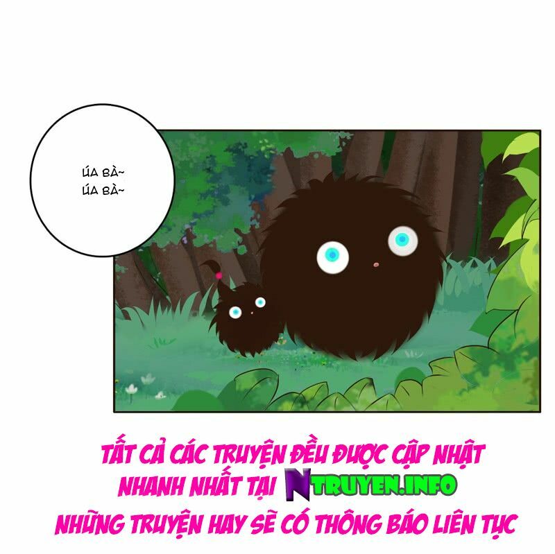 Thông Linh Phi: Chapter 196