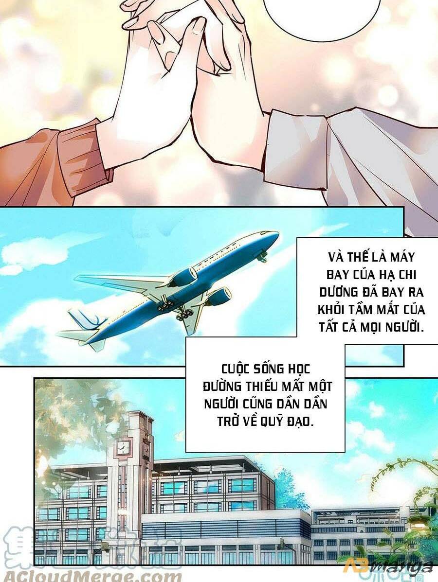 Thanh Ninh Chi Hạ: Chapter 484