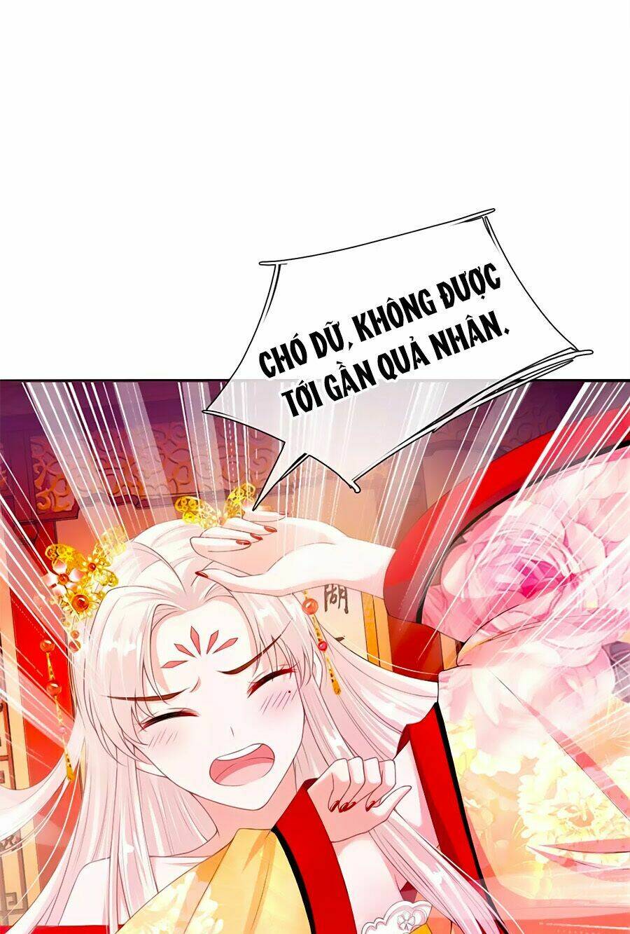 Ôn Nhu Bạo Quân: Nhiếp Chính Vương Gia Quá Hung Mãnh: Chapter 7