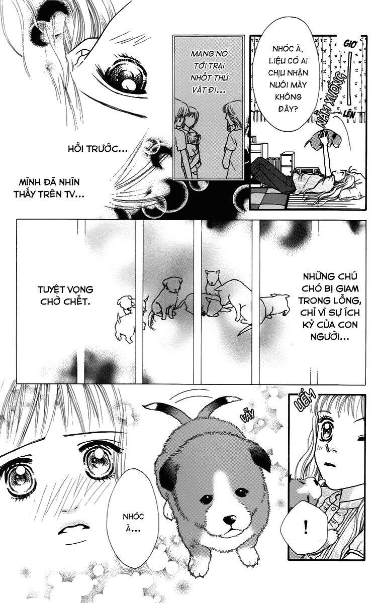 Cô Láng Giềng: Chapter 9