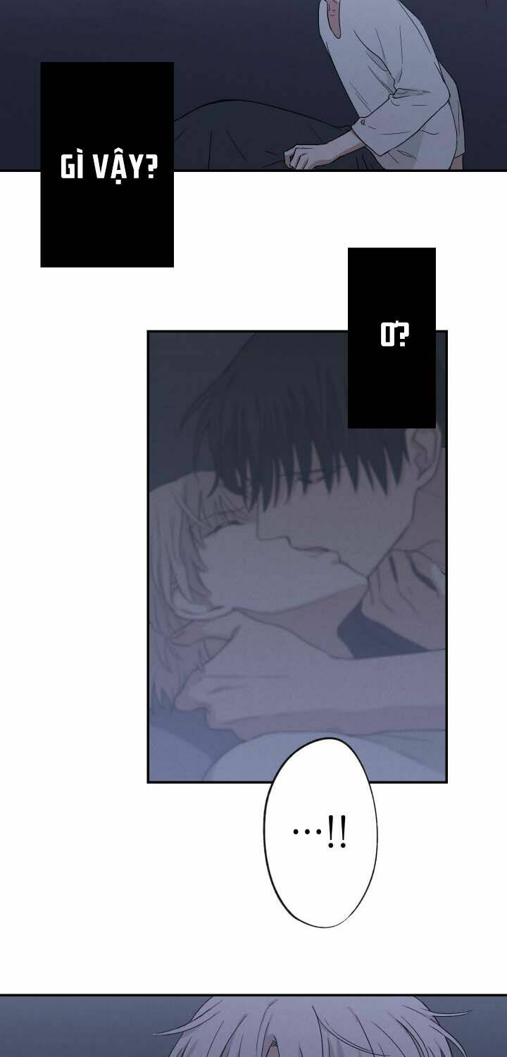 Trốn Tìm: Chapter 12