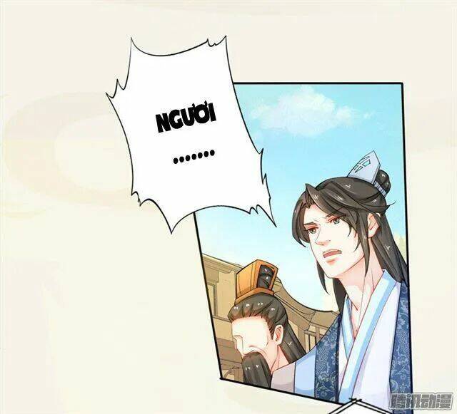 Tuyệt Thế Luyện Đan Sư: Chapter 14