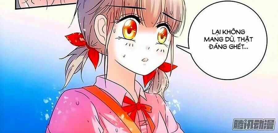 Thanh Ninh Chi Hạ: Chapter 61