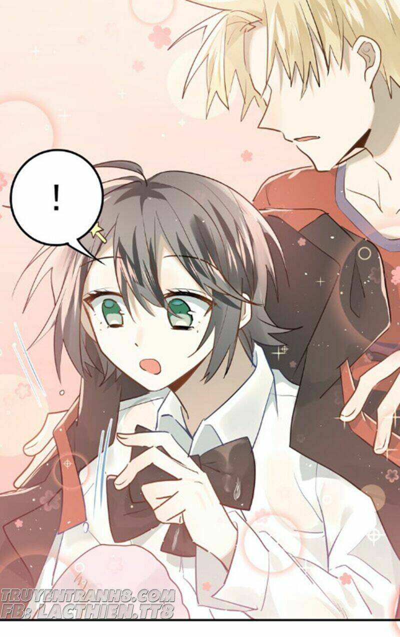 Đầu Gấu Biết Yêu: Chapter 109