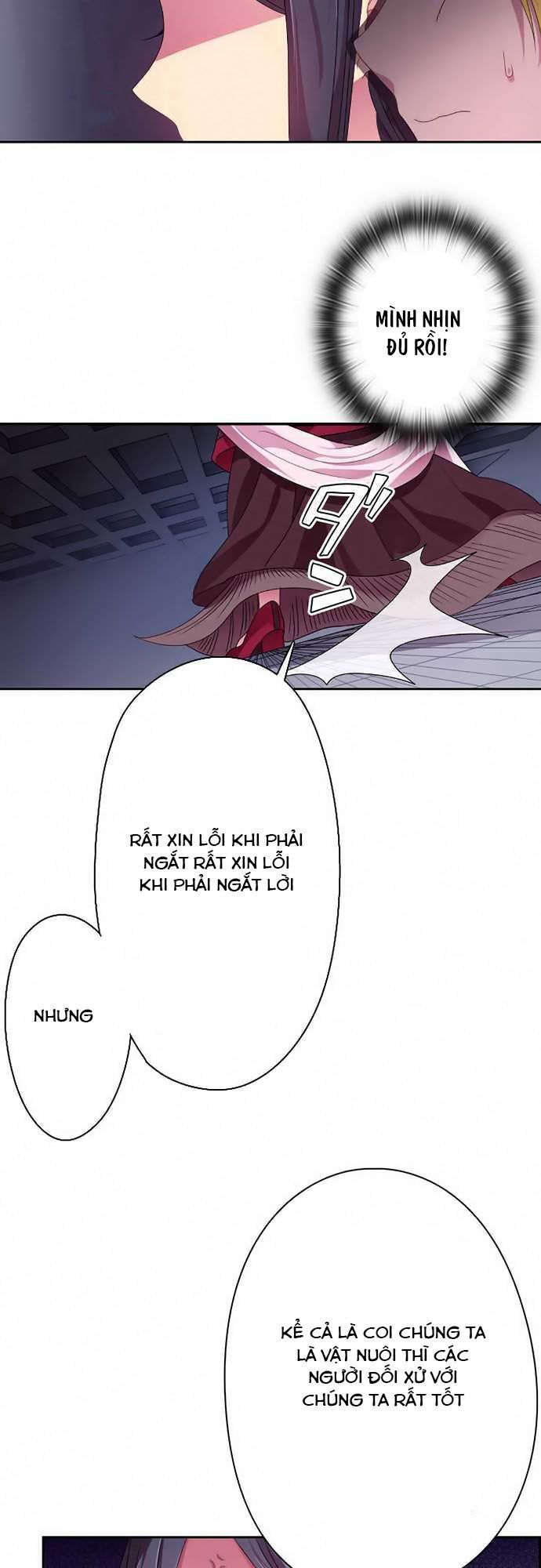 Vợ Lẽ Của Vua: Chapter 14